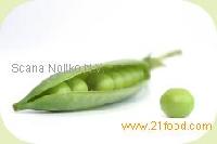  Bio   Products 
