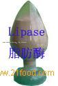 Lipase