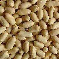 Blanched peanut kernels(long shape)