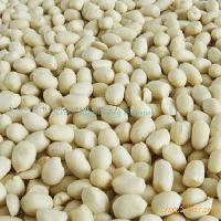Blanched peanut kernels(round shape)