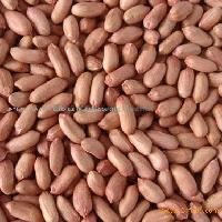 Peanut kernels (long shape)