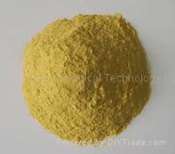 Powdery corn gluten mealExported product