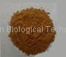 Soy   lecithin   powder 
