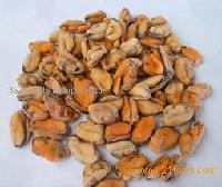 Blue   Mussel   Meat 