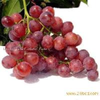  Red   Global   Grape s