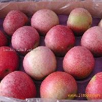fuji apple