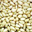 Apricot Kernels