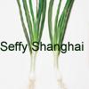 Scallion