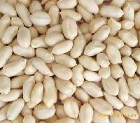 blanched peanut kernel