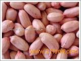 peanut kernel