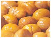 chestnut IQF