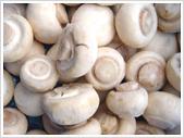  IQF   MUSHROOM   WHOLE 