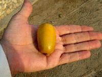  Dates 