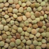 07' chinese lentil