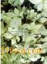 Gold Theragran Plant Extract
