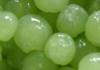 Frozen grapes