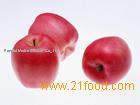 apple extract