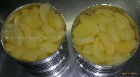  canned   solid   pack ing  apple 