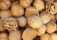 walnut 2