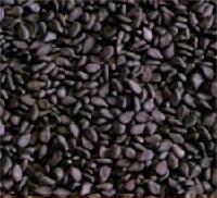  black   sesame   seed s