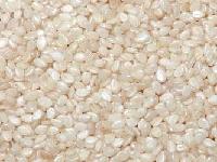 Machine Dried Sesame Seeds