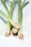 LEMON GRASS