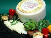 Fresh Pecorino Cheese