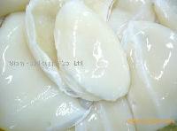  Fresh   Cuttlefish 