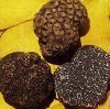  Fresh   truffle s