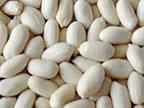 Blanched Peanut Kernel