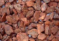 Pine Bark (OPCs)