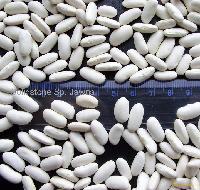  Alubia   bean s