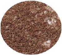 download dried blood worms