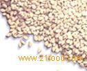 Oilseeds