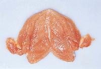 Boneless Breast