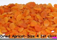Dried Apricot size 4 1st class