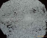  Calcium   Propionate  &  Sodium   Propionate 