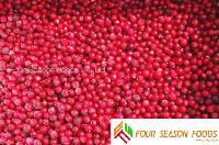IQF lingonberry