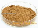 Ginkgo Biloba Extract