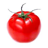 Tomato extract