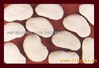 JUMBO LIMA BEANS