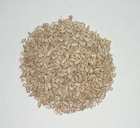 SUNFLOWER SEEDS AND KERNELS