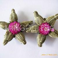 Red Flower Pentacle White Tea.jpg