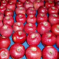 red delicious apple