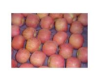 red fuji apples