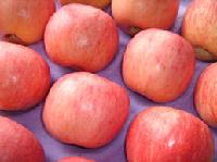 FU JI APPLE
