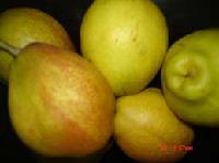 Fragrant pear