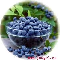 blueberry