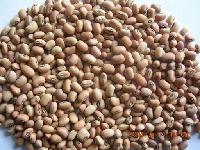 COWPEA BEANS