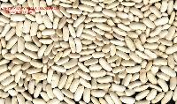 WHITE KIDNEY BEANS